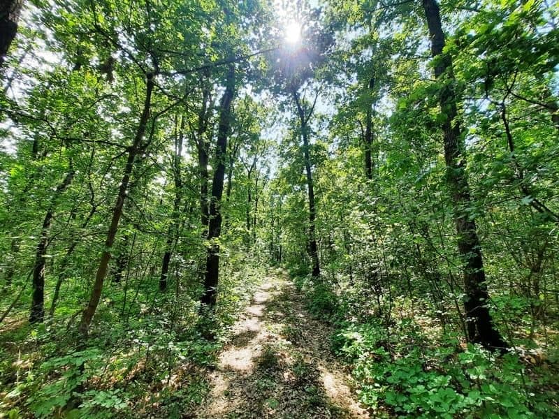 Nahe bei Siedlung - Weideland und Wald zum Verkauf in Kapolcs