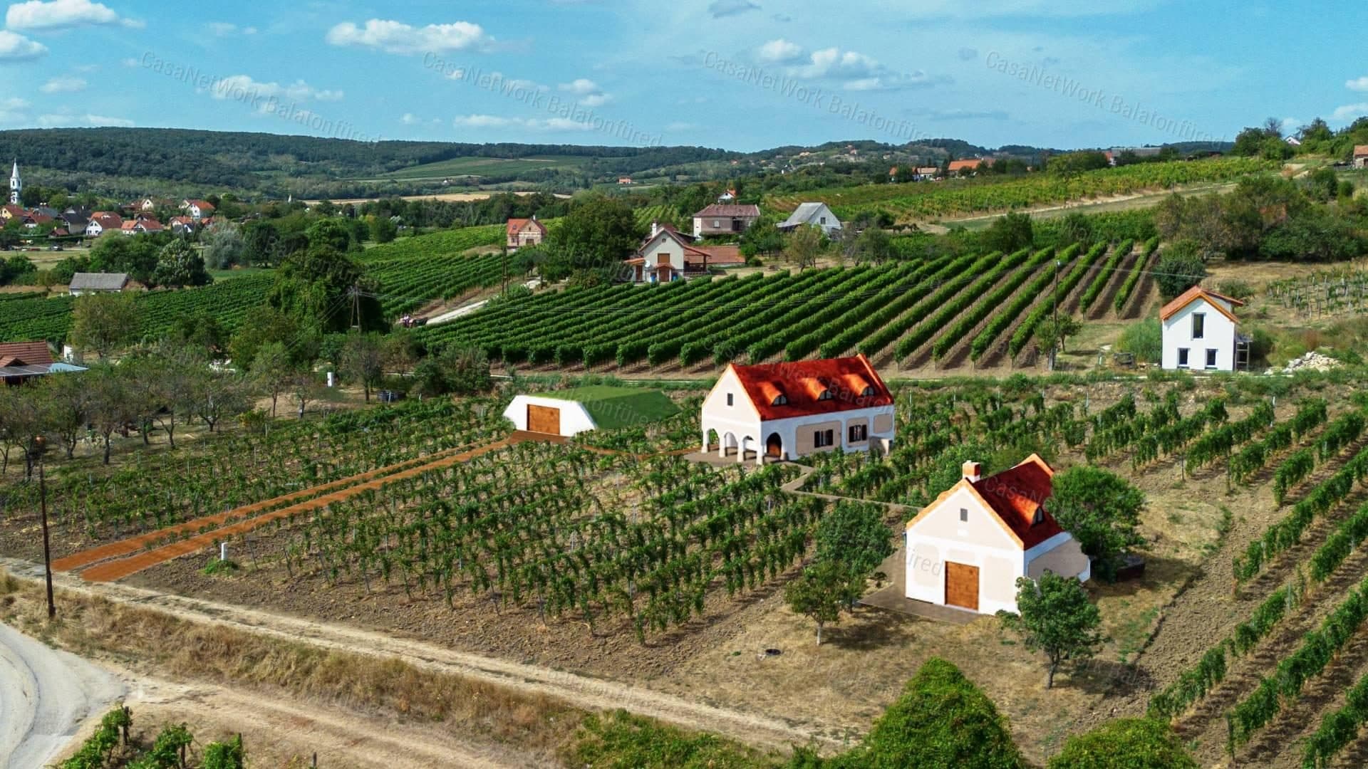 Weinberg- und Kellerhaus mit ewigem Panoramablick und gültigem Baugenehmigung in Szentantalfa