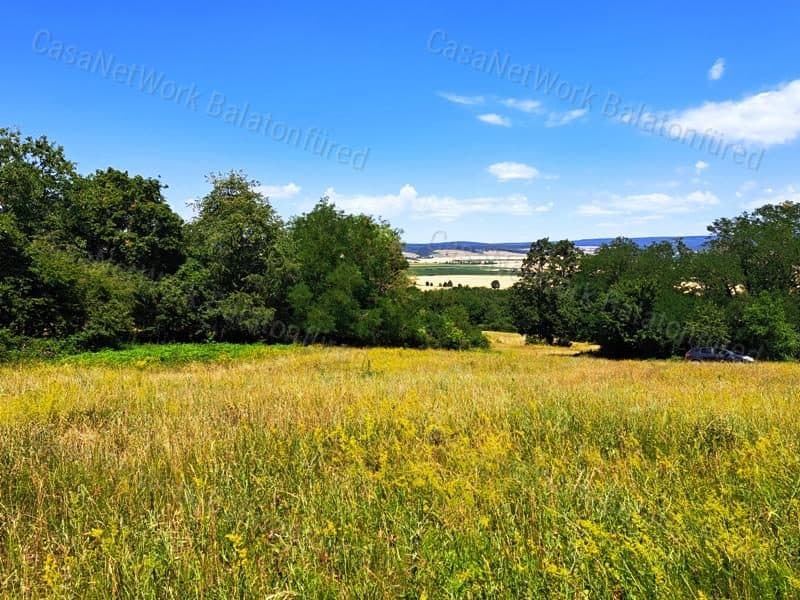 Wald und Wiese in Kapolcs – Landwirtschaftliche Fläche