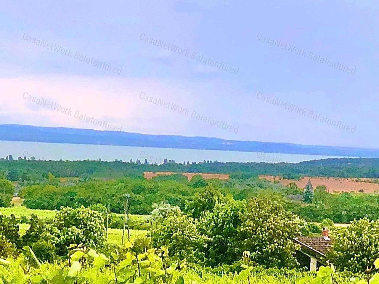Panoramablick-Weinberg in Szentantalfa – bebauter Weinberg am Balaton