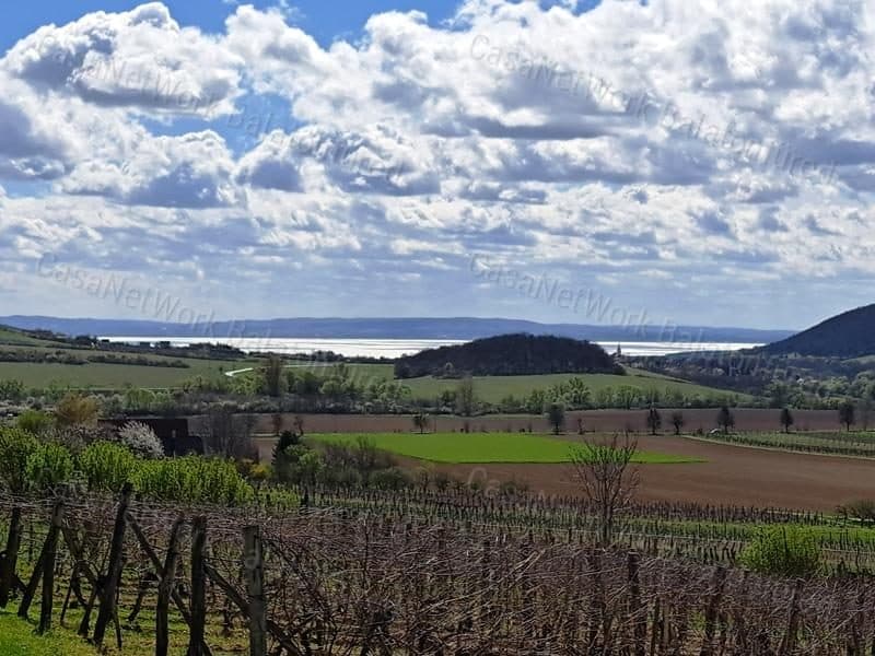 Bebaubare Weinbergfläche mit Panoramablick in Szentjakabfa